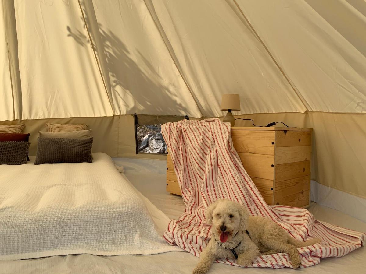 Bigova Glamping 호텔 코토르 외부 사진